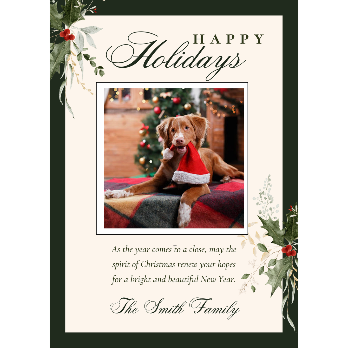 Christmas Card Magnets